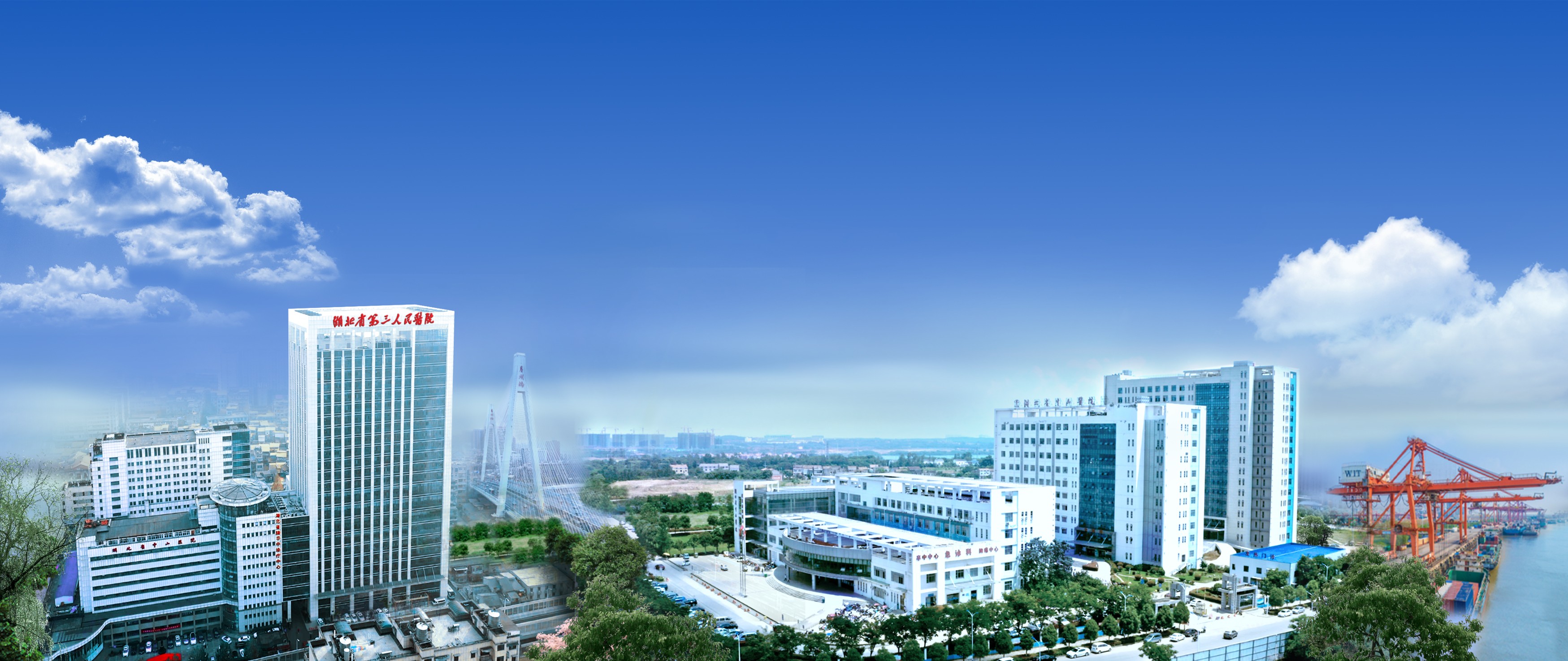 91porn
2024年度人才招聘公告 